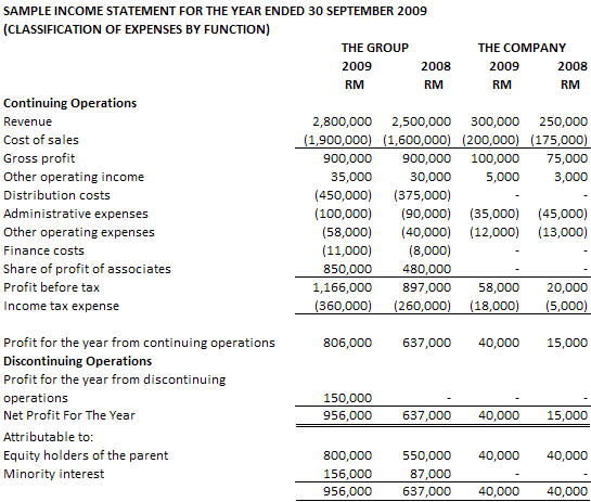 Sample Income Statement With Expenses By Function 15 October 2009